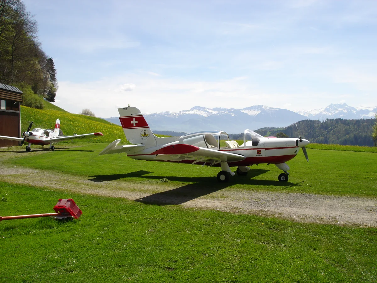 Man sieht Flugzeuge auf einer Wiese.